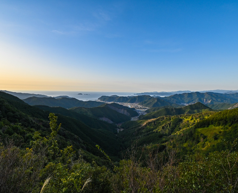 うぐいすの森メイン画像