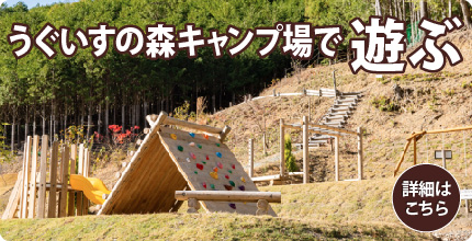 うぐいすの森キャンプ場で遊ぶ