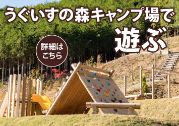 うぐいすの森キャンプ場で遊ぶ