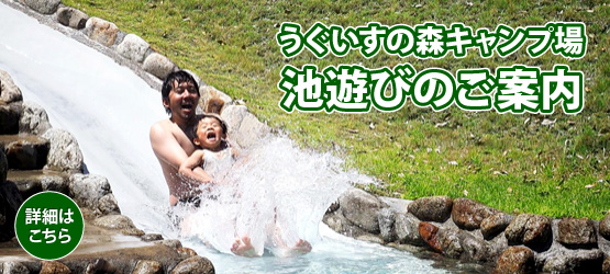 池遊びのご案内