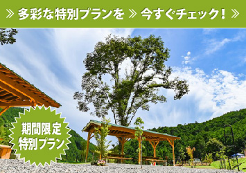 期間限定特別プラン