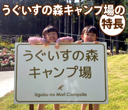 うぐいすの森キャンプ場の特長